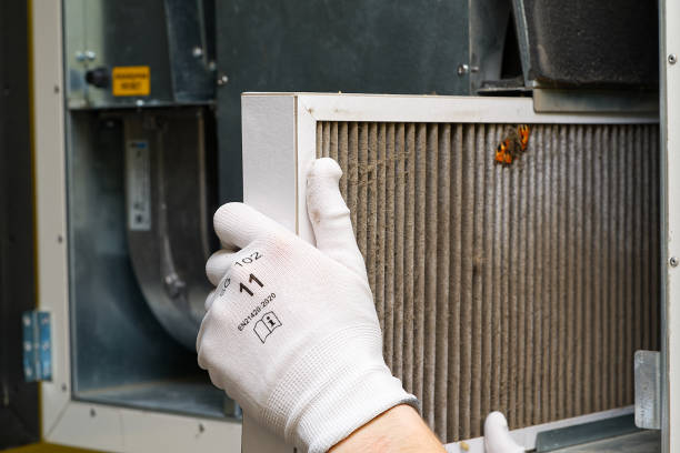 Best Best Air Duct Cleaning Near Me  in Friona, TX
