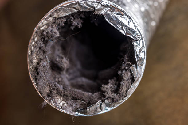 Best HVAC System Cleaning  in Friona, TX