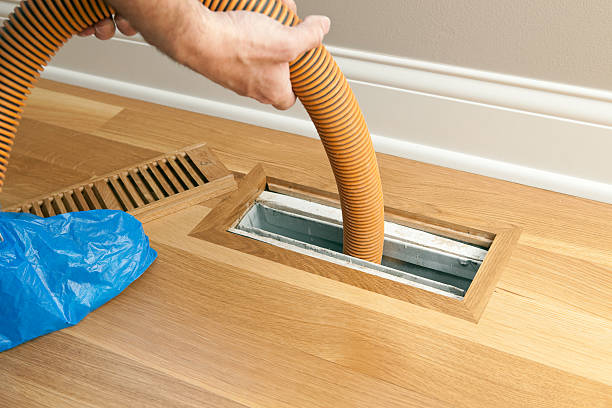 Best Air Duct Sanitizing Services  in Friona, TX